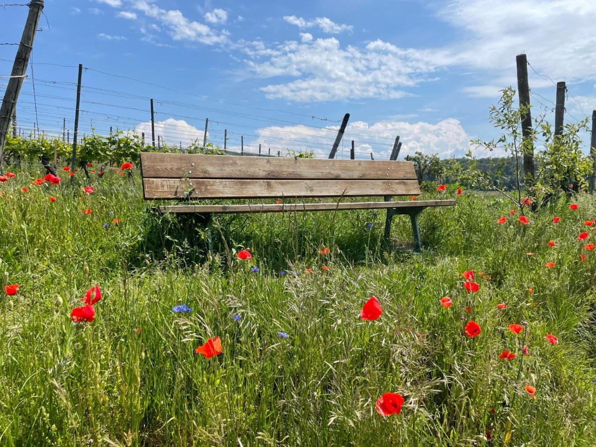 Weingut & Strausswirtschaft Vogel Vogtsburg Exterior foto