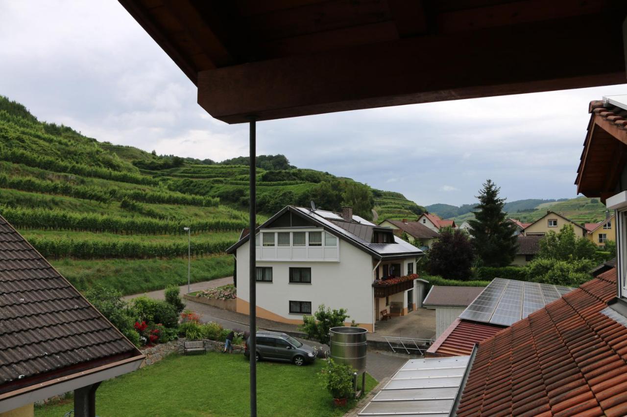 Weingut & Strausswirtschaft Vogel Vogtsburg Exterior foto