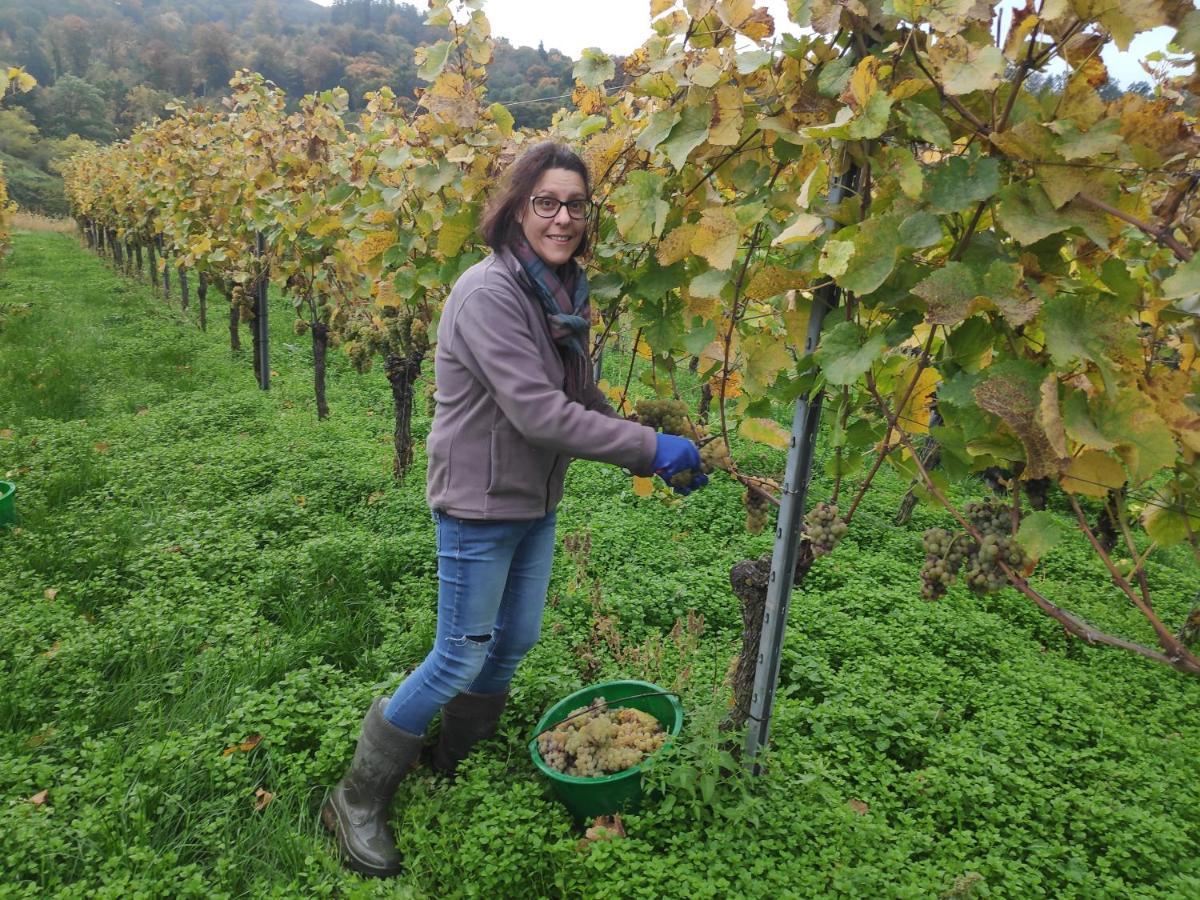Weingut & Strausswirtschaft Vogel Vogtsburg Exterior foto