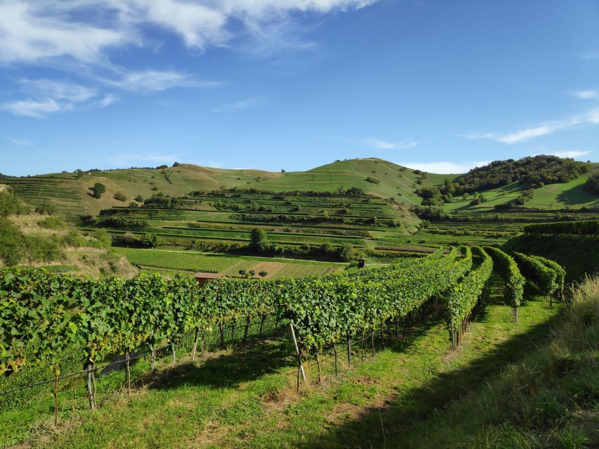 Weingut & Strausswirtschaft Vogel Vogtsburg Exterior foto