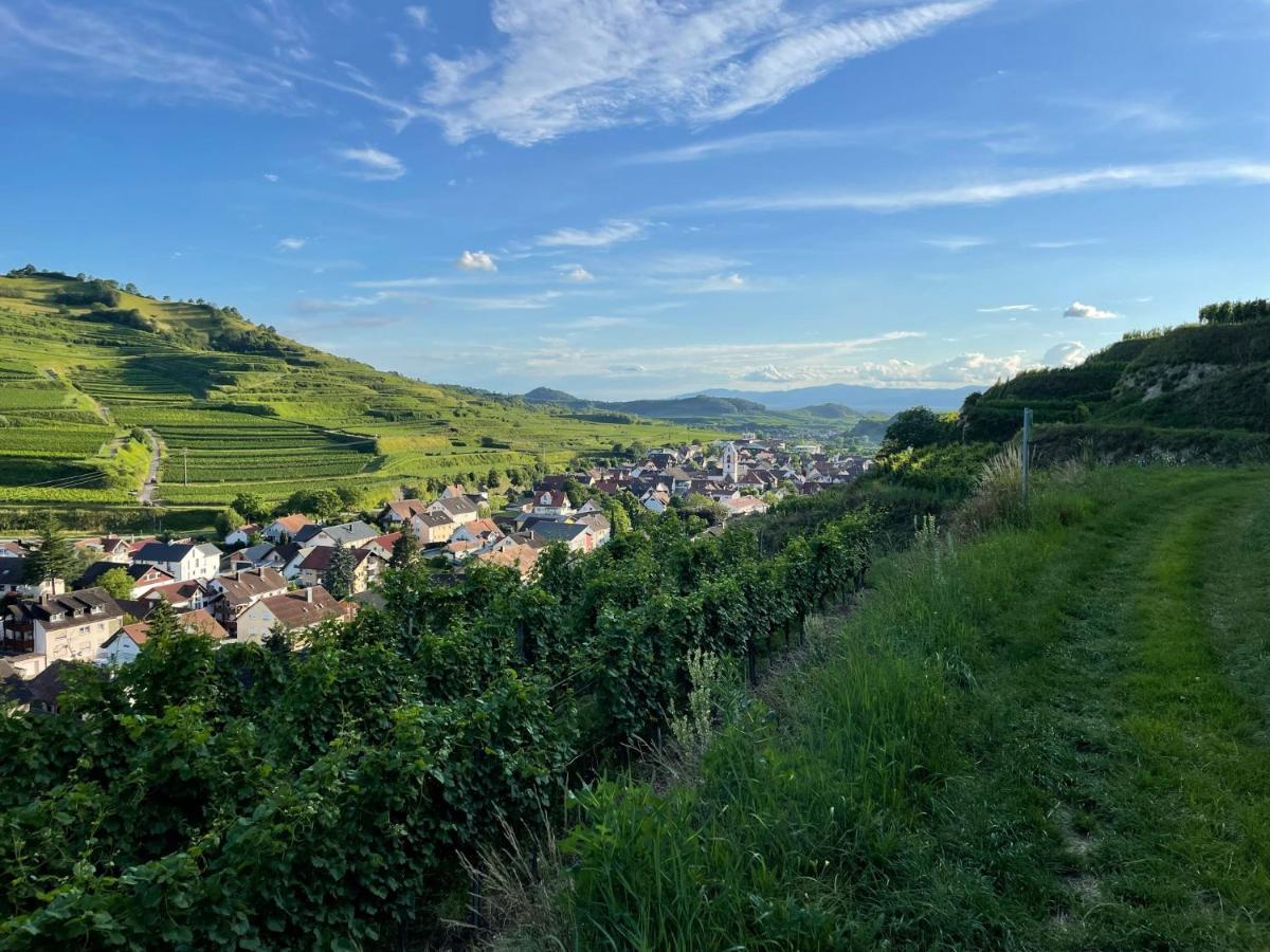 Weingut & Strausswirtschaft Vogel Vogtsburg Exterior foto