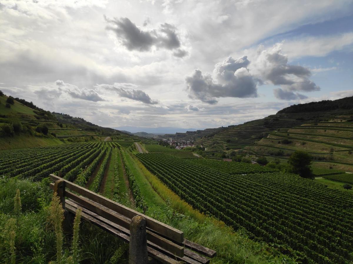 Weingut & Strausswirtschaft Vogel Vogtsburg Exterior foto