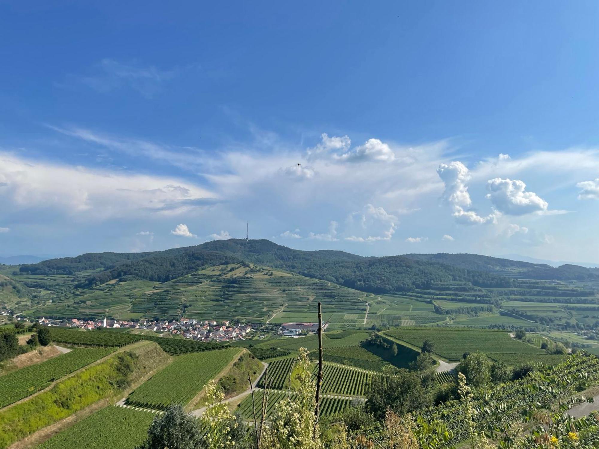 Weingut & Strausswirtschaft Vogel Vogtsburg Exterior foto