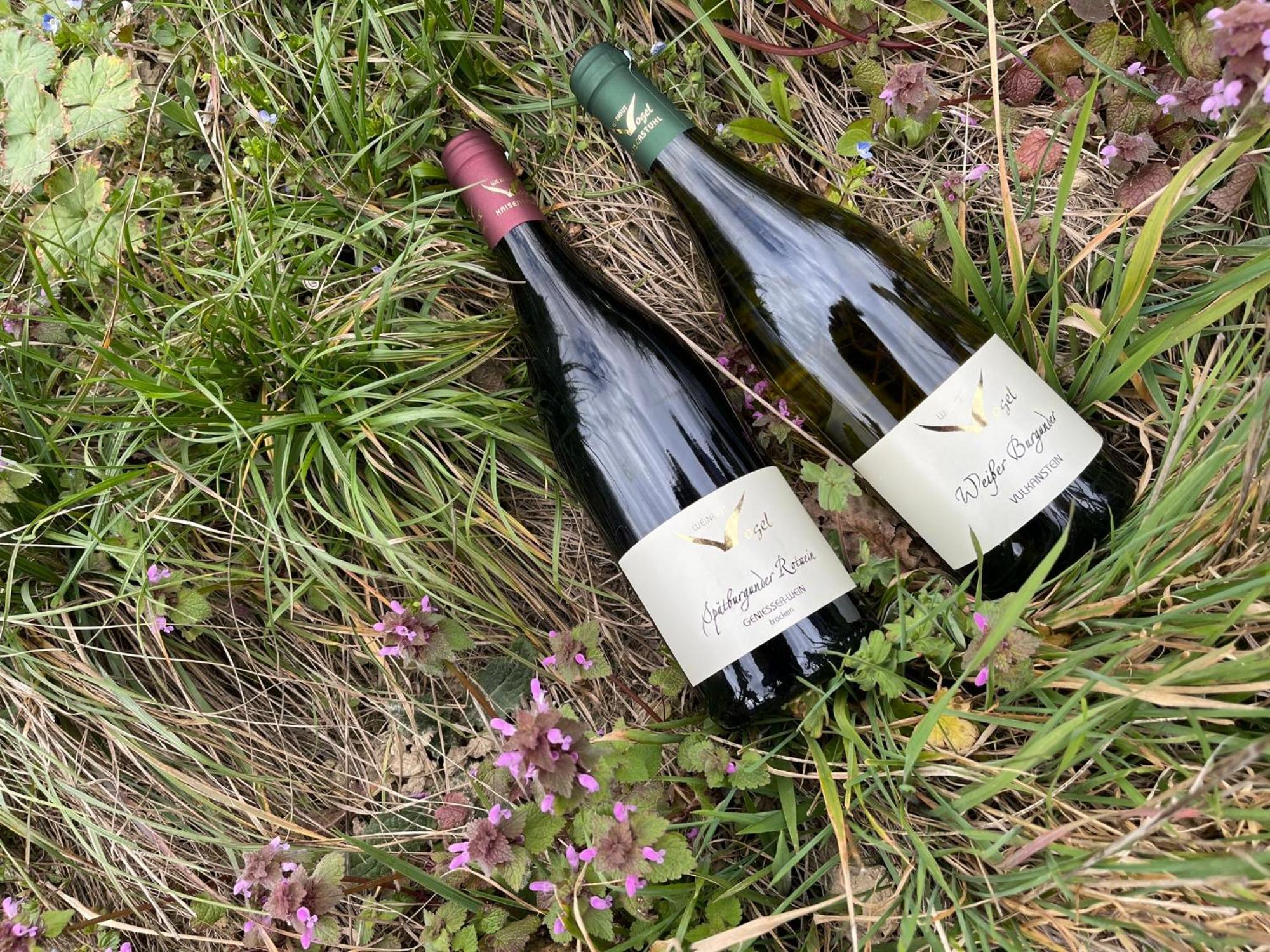 Weingut & Strausswirtschaft Vogel Vogtsburg Exterior foto