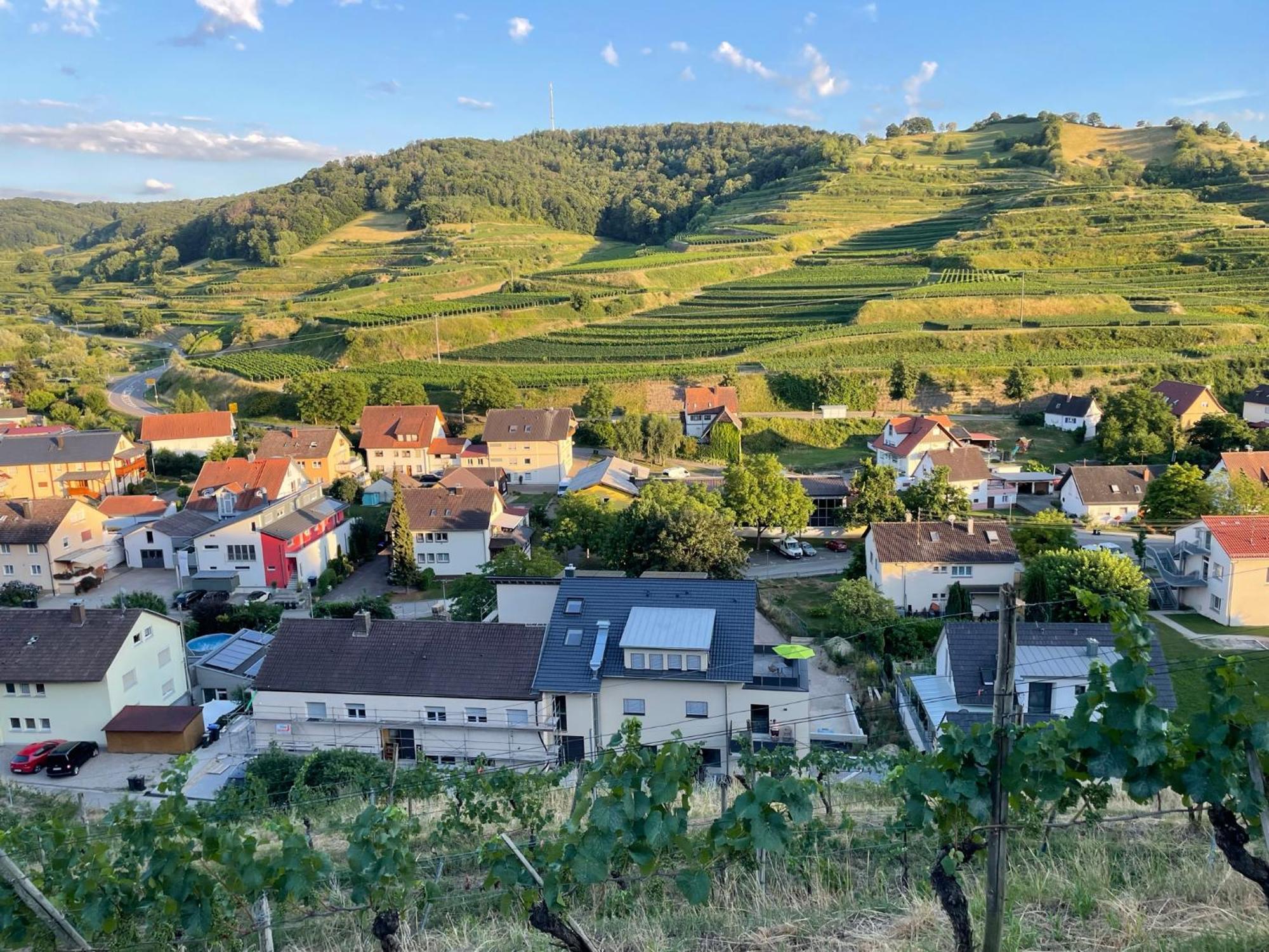 Weingut & Strausswirtschaft Vogel Vogtsburg Exterior foto